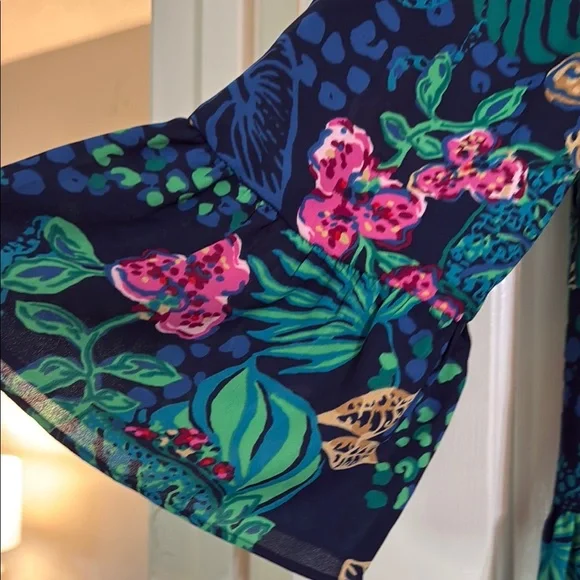 Lilly Pulitzer Gabriel Dress - Picture 6 of 6